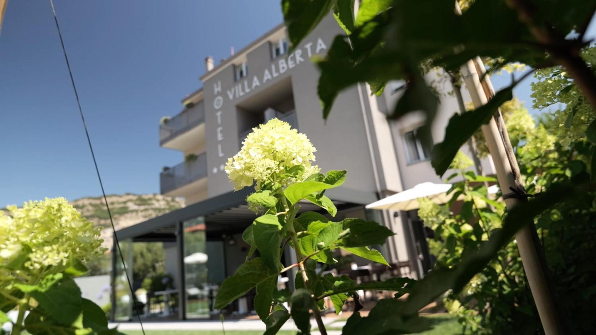 Hotel Villa Alberta ناغو المظهر الخارجي الصورة